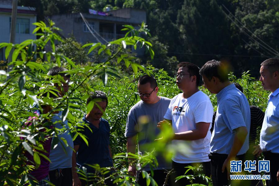（決戰(zhàn)決勝脫貧攻堅&middot;圖文互動）（3）&ldquo;堵槍眼&rdquo;的脫貧戰(zhàn)怎么打？&mdash;&mdash;繼光村見聞