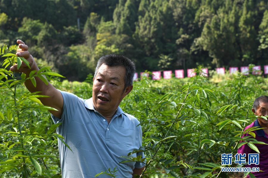 （決戰(zhàn)決勝脫貧攻堅&middot;圖文互動）（4）&ldquo;堵槍眼&rdquo;的脫貧戰(zhàn)怎么打？&mdash;&mdash;繼光村見聞