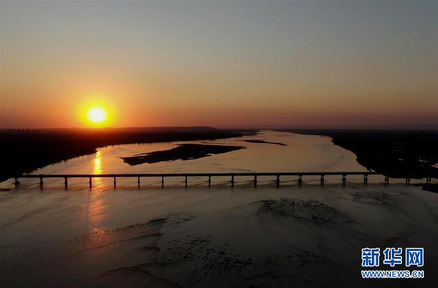 (新華全媒頭條·圖文互動)(15)從“四亂”突出到生態(tài)修復(fù) 黃河漸成中原“綠飄帶”