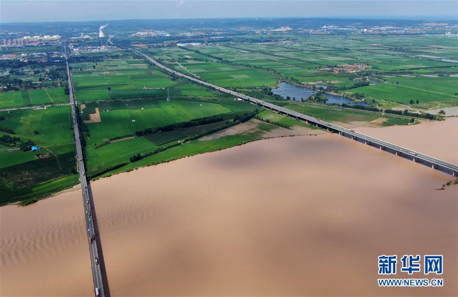 (新華全媒頭條·圖文互動)(16)從“四亂”突出到生態(tài)修復(fù) 黃河漸成中原“綠飄帶”