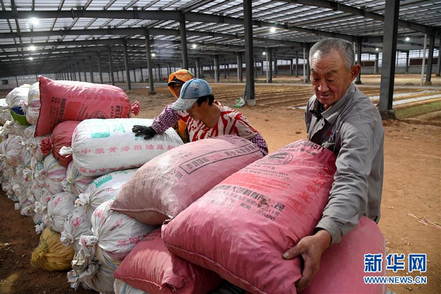 (全面建成小康社會“百城千縣萬村調(diào)研行”·圖文互動)(6)青島西海岸新區(qū)以“生態(tài)酵母”激活鄉(xiāng)村振興