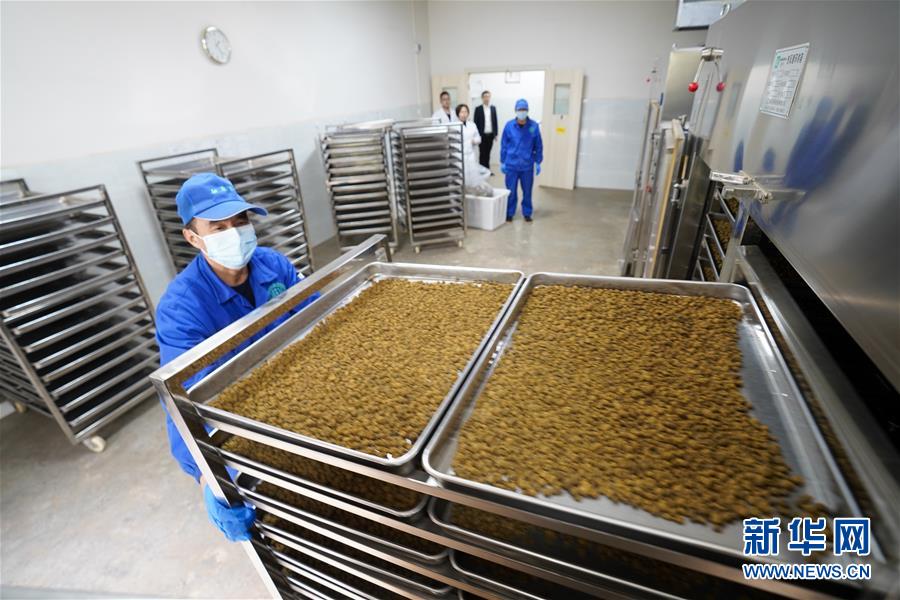 （決戰(zhàn)決勝脫貧攻堅&middot;圖文互動）（3）重慶三峽庫區(qū)從&ldquo;中華藥庫&rdquo;里探尋脫貧致富&ldquo;良方&rdquo;