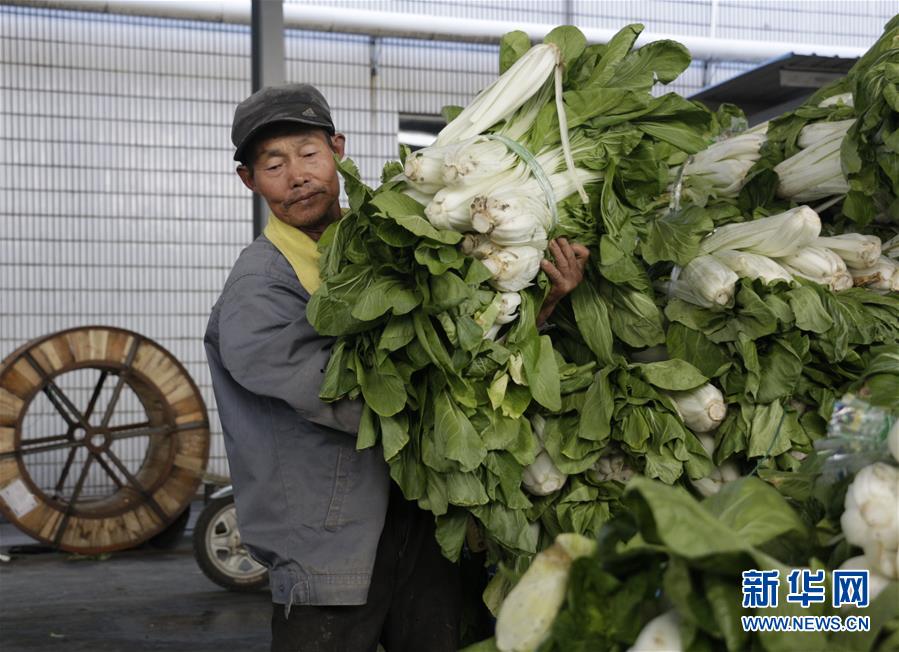 (全面建成小康社會(huì)“百城千縣萬村調(diào)研行”·圖文互動(dòng))(3)安徽當(dāng)涂:強(qiáng)產(chǎn)業(yè)抓主體促增收