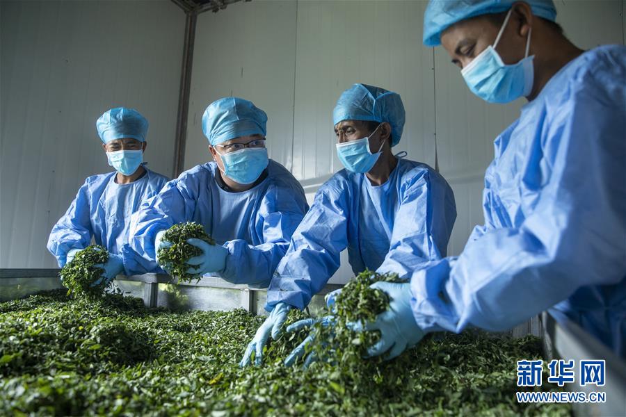 （鄉(xiāng)村振興&middot;圖文互動）（2）涼山深處有&ldquo;黃金&rdquo;