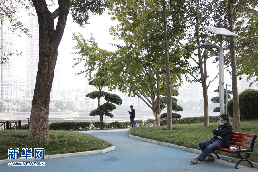 (全面建成小康社會“百城千縣萬村調(diào)研行”·圖文互動)(1)武漢:從“見縫插樓”到“見縫播綠”