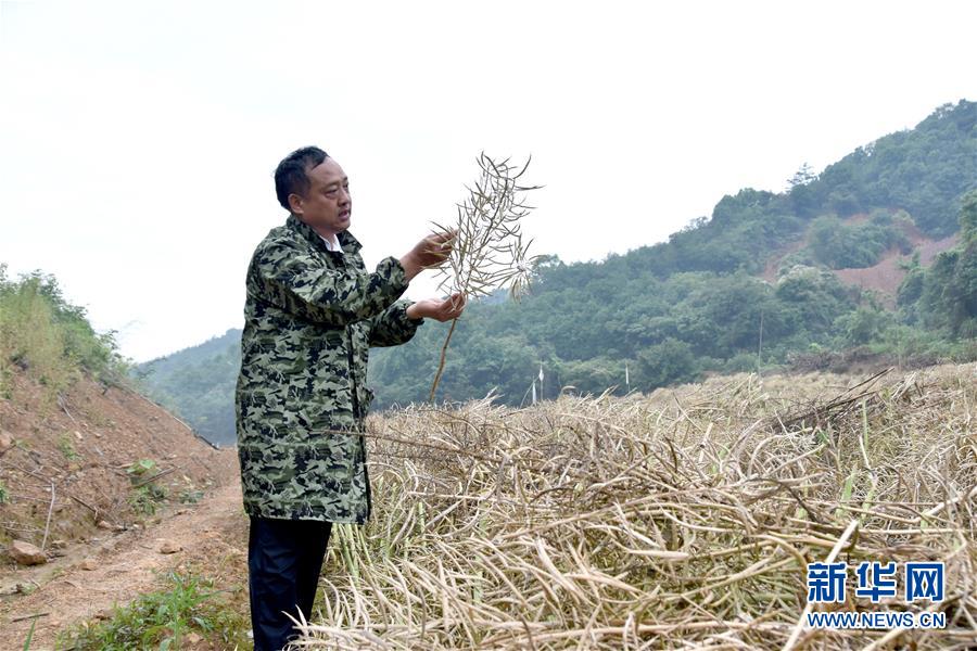 （代表委員履職&middot;圖文互動）（1）&ldquo;我是農(nóng)民代表，始終關(guān)注農(nóng)村&rdquo;&mdash;&mdash;全國人大代表沈昌健的履職故事