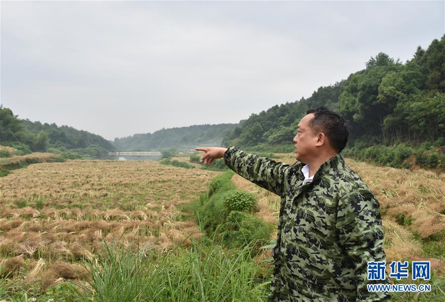 （代表委員履職&middot;圖文互動）（2）&ldquo;我是農(nóng)民代表，始終關(guān)注農(nóng)村&rdquo;&mdash;&mdash;全國人大代表沈昌健的履職故事