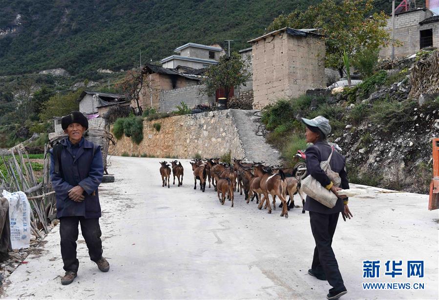 (壯麗70年·奮斗新時(shí)代)(15)我們走在大路上