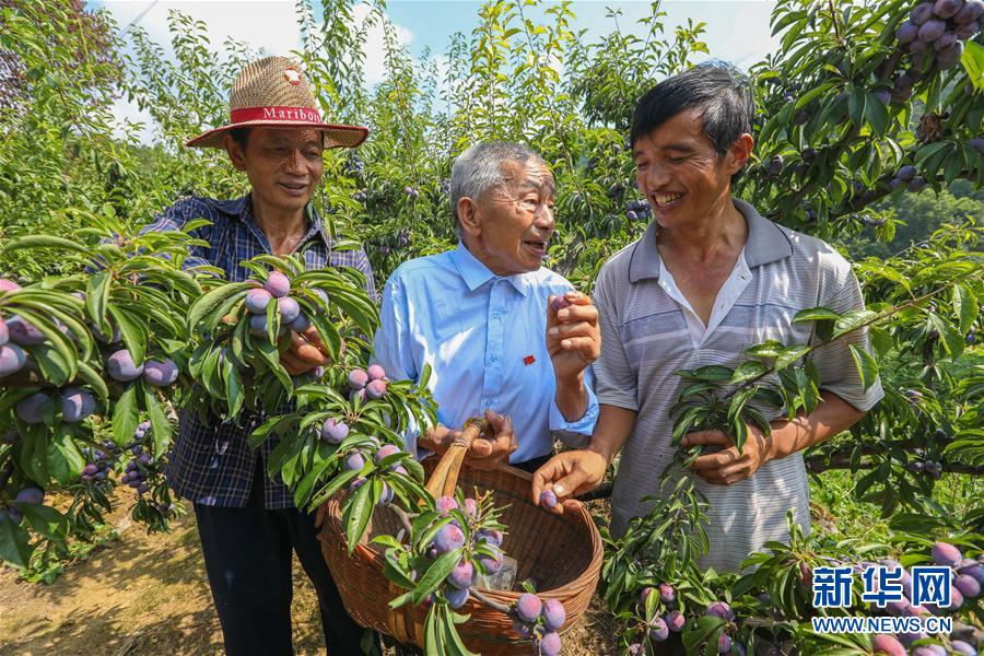 （新華全媒頭條&middot;圖文互動）（1）凝聚民族復興的精神偉力&mdash;&mdash;以習近平同志為核心的黨中央重視思想道德建設(shè)關(guān)心關(guān)愛道德模范紀實