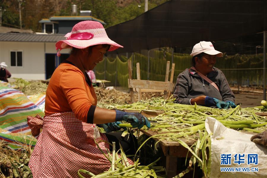 (在習(xí)近平新時(shí)代中國(guó)特色社會(huì)主義思想指引下——新時(shí)代新作為新篇章·習(xí)近平總書記關(guān)切事·圖文互動(dòng))(4)啃下最后的硬骨頭——脫貧攻堅(jiān)掛牌督戰(zhàn)進(jìn)行時(shí)