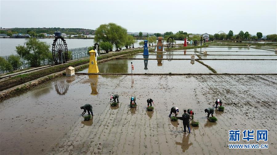 （在習近平新時代中國特色社會主義思想指引下&mdash;&mdash;新時代新作為新篇章&middot;習近平總書記關切事&middot;圖文互動）（6）讓農(nóng)民挑上&ldquo;金扁擔&rdquo;&mdash;&mdash;農(nóng)業(yè)現(xiàn)代化的生動實踐掃描