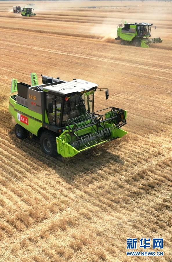 （在習近平新時代中國特色社會主義思想指引下&mdash;&mdash;新時代新作為新篇章&middot;習近平總書記關切事&middot;圖文互動）（13）讓農(nóng)民挑上&ldquo;金扁擔&rdquo;&mdash;&mdash;農(nóng)業(yè)現(xiàn)代化的生動實踐掃描