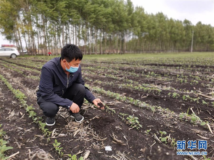 （在習近平新時代中國特色社會主義思想指引下&mdash;&mdash;新時代新作為新篇章&middot;習近平總書記關切事&middot;圖文互動）（6）讓每一寸耕地都成為豐收的沃土&mdash;&mdash;我國加強耕地保護推進&ldquo;藏糧于地&rdquo;