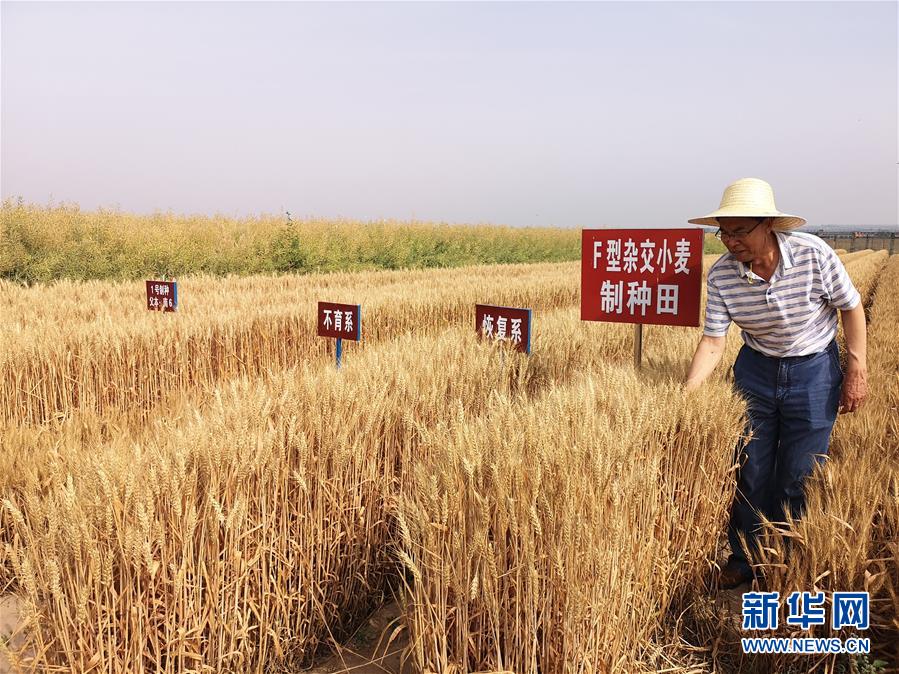 （在習(xí)近平新時(shí)代中國(guó)特色社會(huì)主義思想指引下&mdash;&mdash;新時(shí)代新作為新篇章&middot;習(xí)近平總書(shū)記關(guān)切事&middot;圖文互動(dòng)）（3）讓百姓吃得飽還要吃得好&mdash;&mdash;夯實(shí)糧食安全基礎(chǔ)端牢中國(guó)飯碗