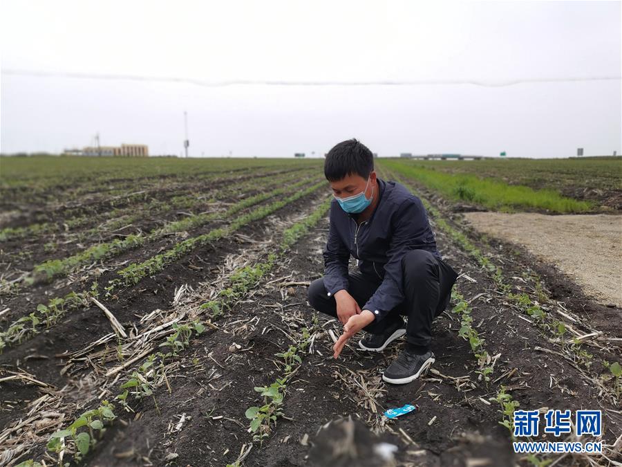 （在習(xí)近平新時(shí)代中國(guó)特色社會(huì)主義思想指引下&mdash;&mdash;新時(shí)代新作為新篇章&middot;習(xí)近平總書(shū)記關(guān)切事&middot;圖文互動(dòng)）（4）讓百姓吃得飽還要吃得好&mdash;&mdash;夯實(shí)糧食安全基礎(chǔ)端牢中國(guó)飯碗