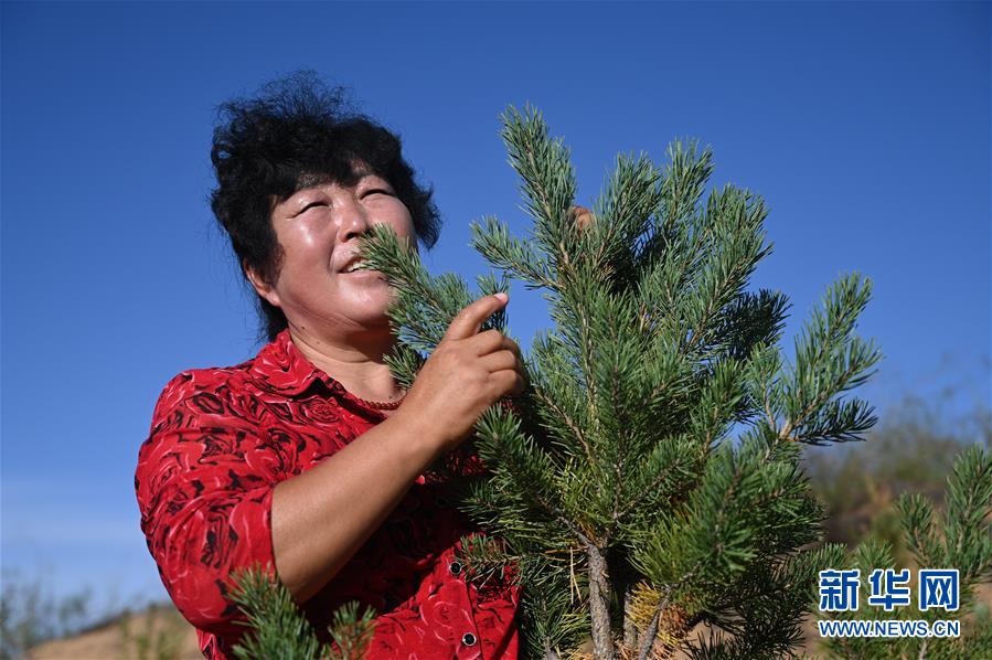 （在習(xí)近平新時代中國特色社會主義思想指引下&mdash;&mdash;新時代新作為新篇章&middot;習(xí)近平總書記關(guān)切事&middot;圖文互動）（5）綠意，在黃沙中鋪展&mdash;&mdash;我國防沙治沙紀(jì)實