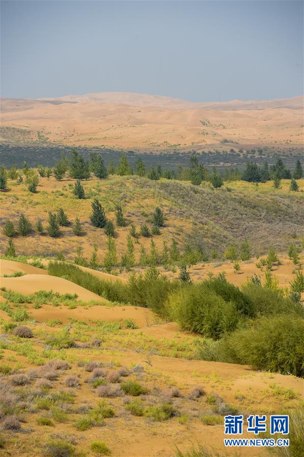 （在習(xí)近平新時代中國特色社會主義思想指引下&mdash;&mdash;新時代新作為新篇章&middot;習(xí)近平總書記關(guān)切事&middot;圖文互動）（6）綠意，在黃沙中鋪展&mdash;&mdash;我國防沙治沙紀(jì)實