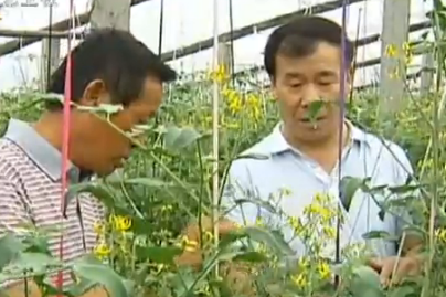 李雙星:脫貧致富圓夢(mèng)人
