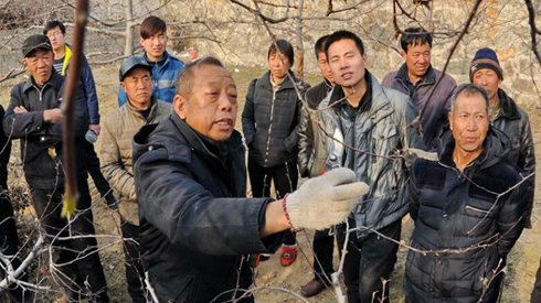 全面小康新進(jìn)軍&mdash;&mdash;紀(jì)念建黨95周年述評(píng)