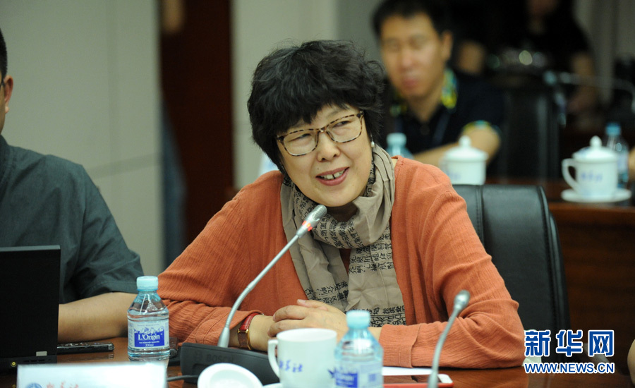 陳小波：新華人對歷史的擔(dān)當(dāng)、情感與良知