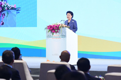 劉延?xùn)|出席&ldquo;一帶一路&rdquo;暨&ldquo;健康絲綢之路&rdquo;高級別研討會