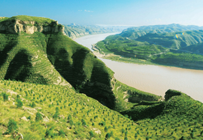 張建龍：&ldquo;三北工程&rdquo;實現(xiàn)生態(tài)、經濟、社會效益&ldquo;多贏&rdquo;