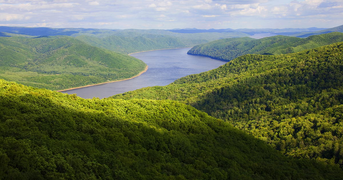 張建龍：&ldquo;三北工程&rdquo;實現(xiàn)生態(tài)、經濟、社會效益&ldquo;多贏&rdquo;