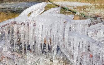 甘肅肅南現(xiàn)冰掛景觀 樹(shù)木&ldquo;冰封&rdquo;宛如玉樹(shù)瓊花