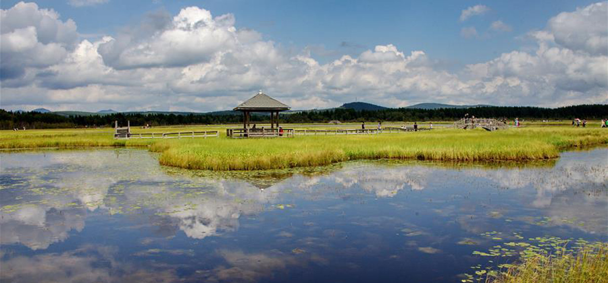 那一抹綠色，走進(jìn)越來越多人心里&mdash;&mdash;河北塞罕壩續(xù)寫新時代綠色傳奇