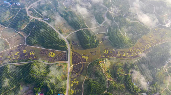 百城千縣萬村調(diào)研行｜在三峽橘鄉(xiāng)，遇見最美的田園時光！