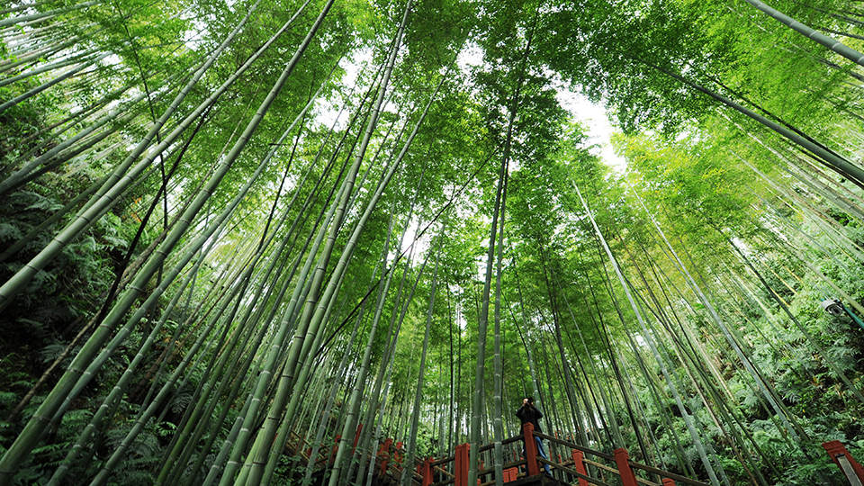 合作共治、責(zé)任共擔(dān)、效益共享&mdash;&mdash;赤水河流域跨省生態(tài)補(bǔ)償取得積極成效