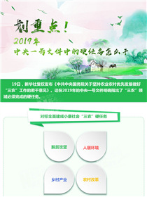劃重點！2019年中央一號文件中的硬任務怎么干