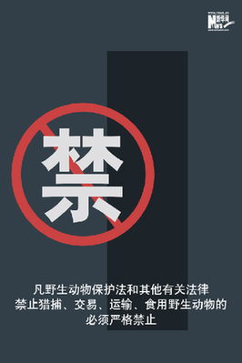 向非法野生動(dòng)物交易、濫食野生動(dòng)物陋習(xí)亮劍