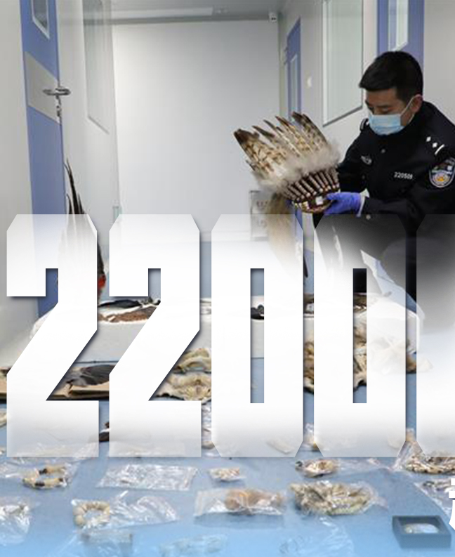 抗疫有&ldquo;法&rdquo;，就是這么給力！