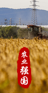 農(nóng)業(yè)強國是社會主義現(xiàn)代化強國的根基。