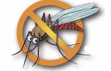 夏季，常見蚊蟲如何應(yīng)對