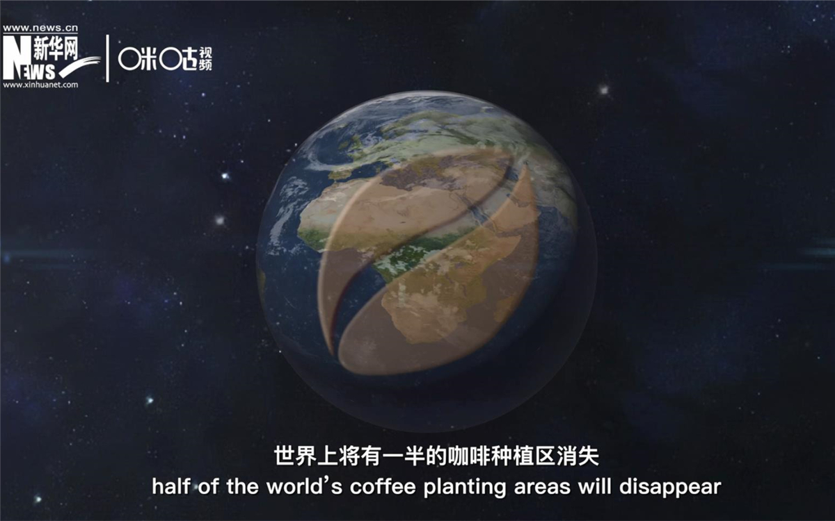 科學家預測到三十年后，世界上將有一半的咖啡種植區(qū)消失