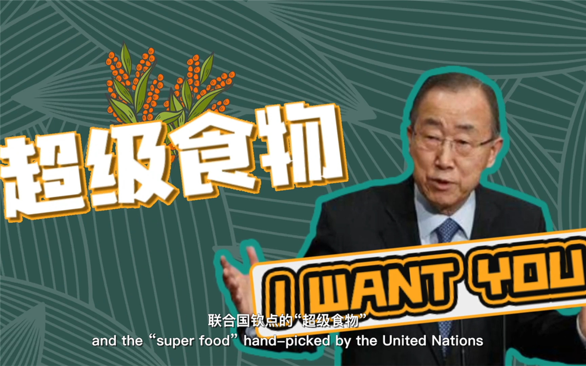 聯(lián)合國將藜麥視為抗擊饑餓的&ldquo;超級(jí)食物&rdquo;，大力推廣