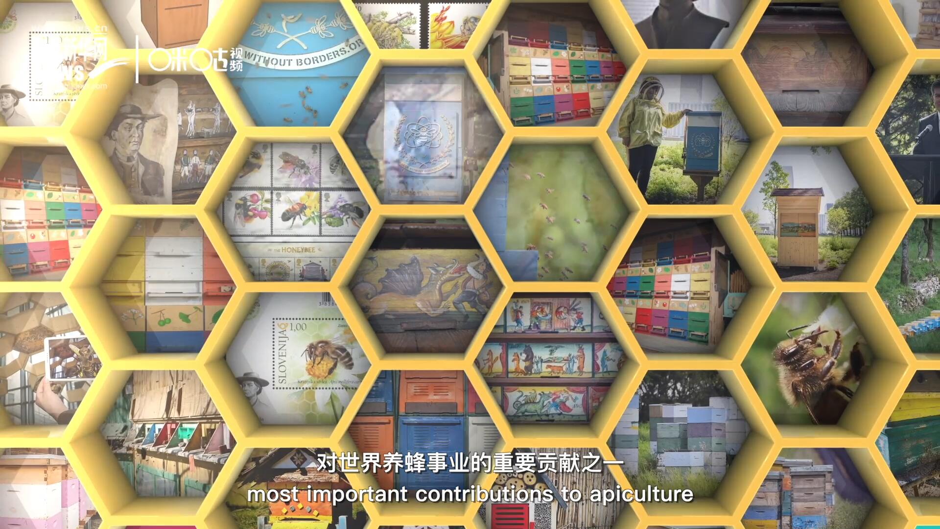 他開(kāi)始用色彩豐富的畫作來(lái)裝飾蜂巢的前板，幫助不同蜂群按照習(xí)性和顏色順利找到自己的蜂巢