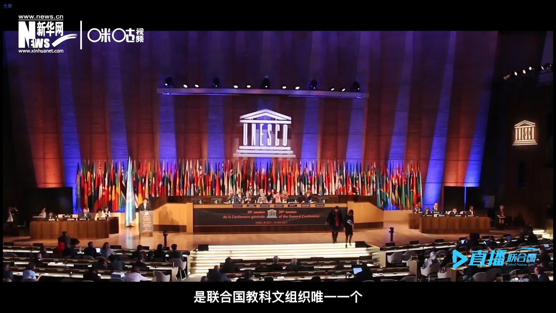 民間藝術(shù)國(guó)際組織成立于1979年，是聯(lián)合國(guó)教科文組織唯一一個(gè)以保護(hù)和挖掘國(guó)際民間藝術(shù)為工作中心的國(guó)際機(jī)構(gòu)。