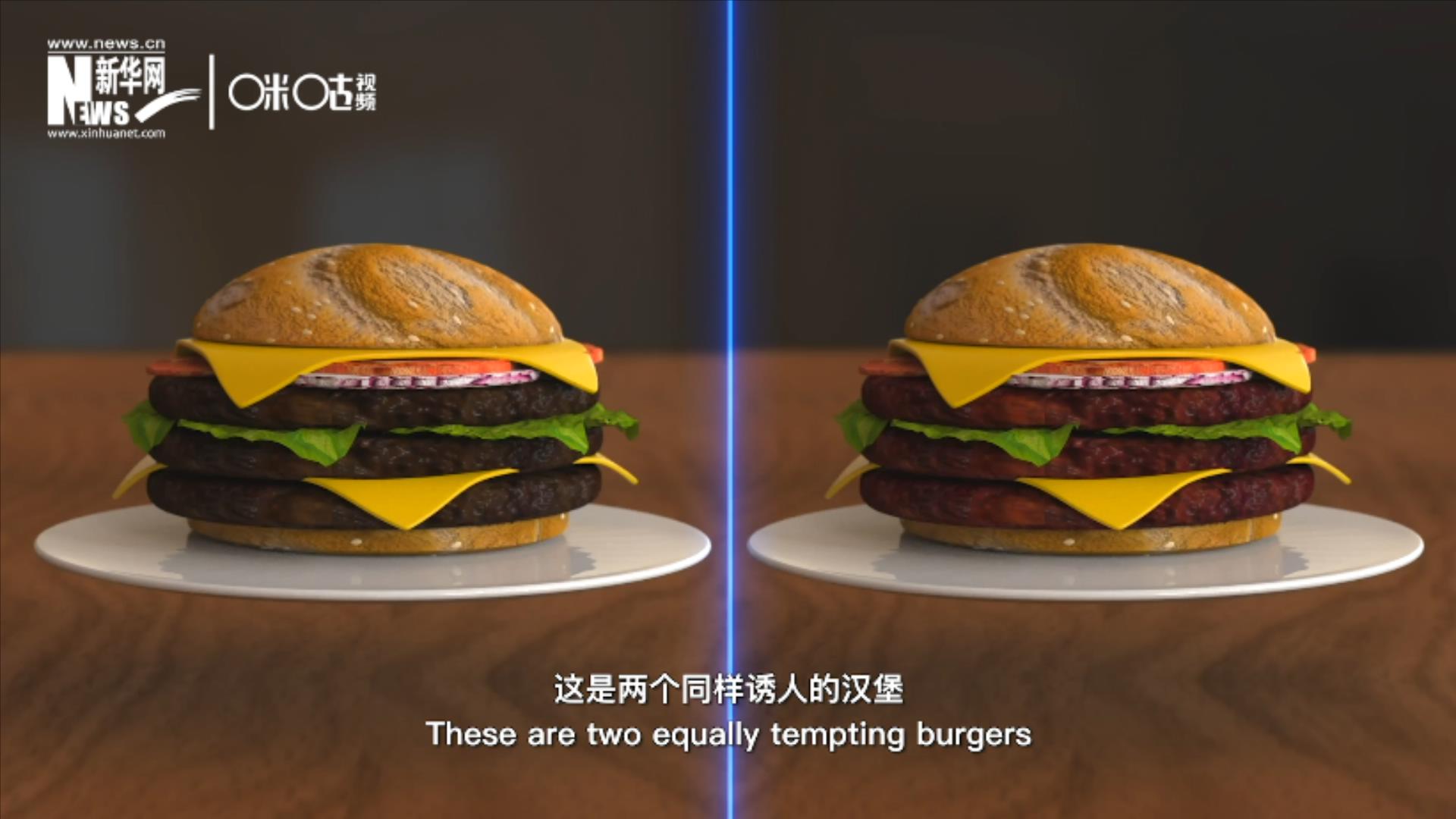 人造肉漢堡能在生產(chǎn)過程中節(jié)約水、土地、排放以及能量