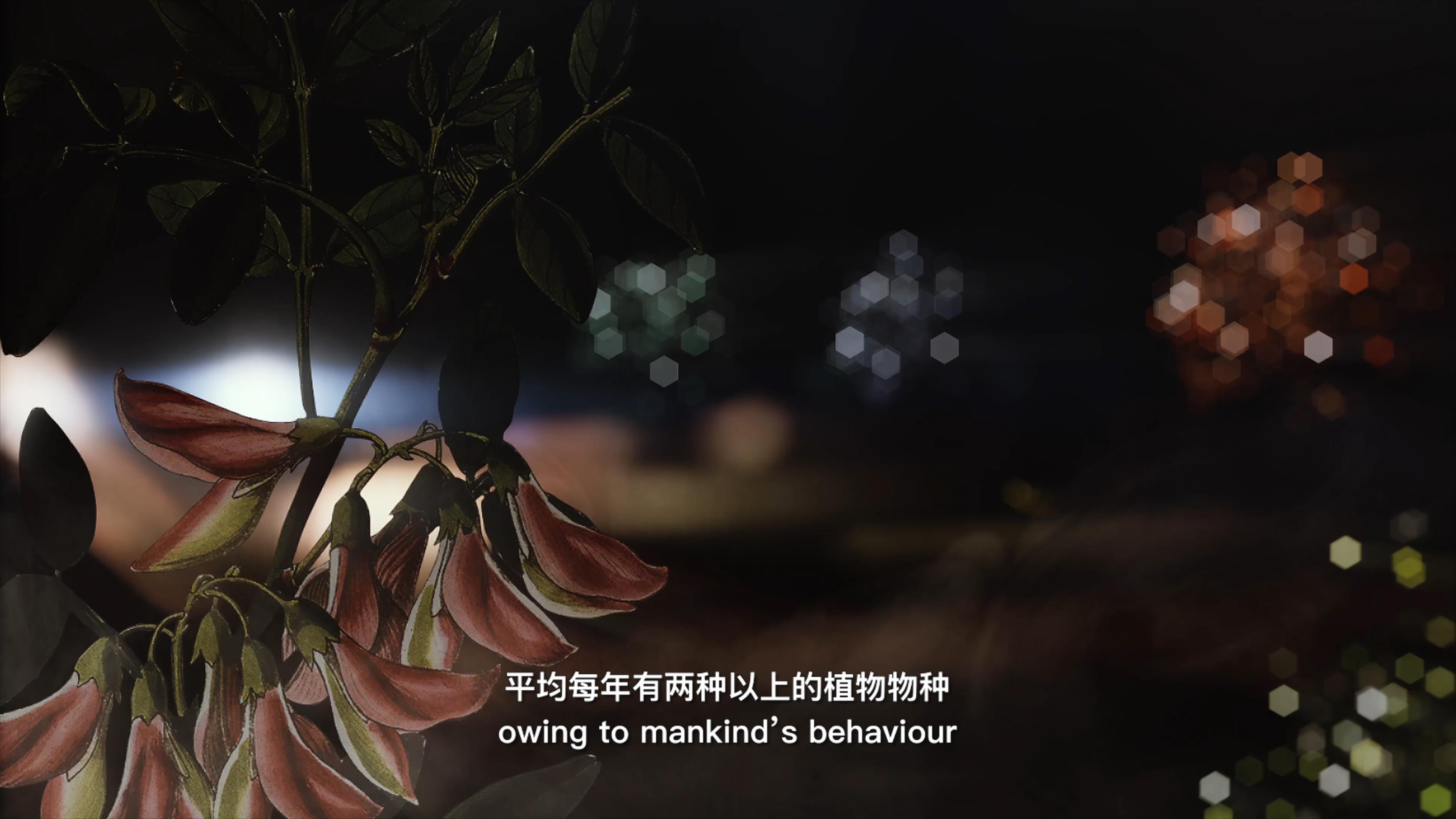 自18世紀(jì)中葉以來，許多植物物種因為人類的原因而從地球上消失