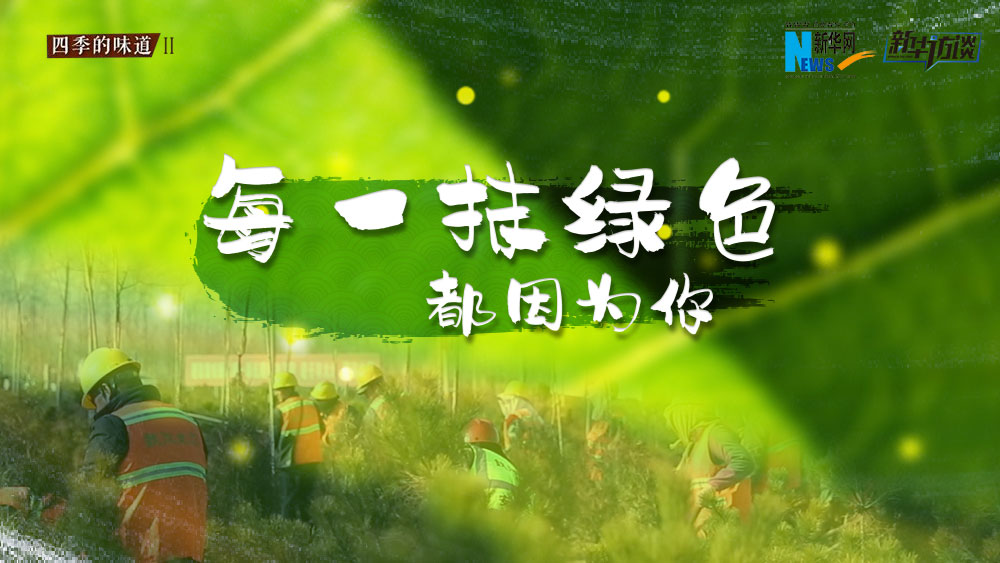 千年秀林，每一抹綠色都因?yàn)槟? /></p>
<p class=