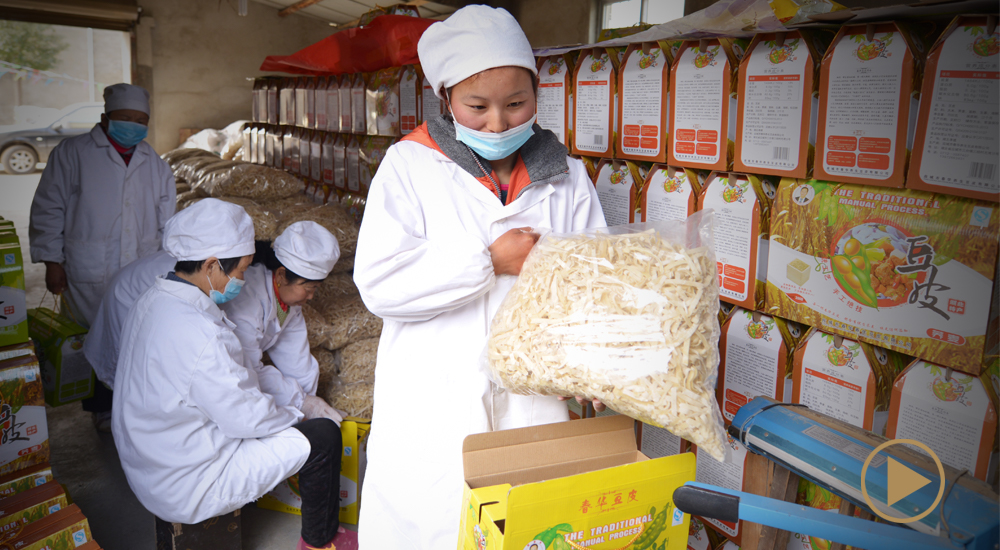 程夢醒和三結(jié)村的&ldquo;豆皮夢&rdquo;