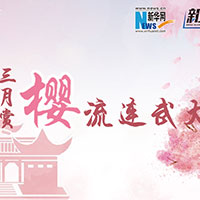 三月賞櫻，流連武大