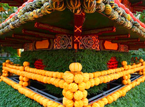 走進壽光&ldquo;菜博會&rdquo;感受科技蔬菜種植(高清)