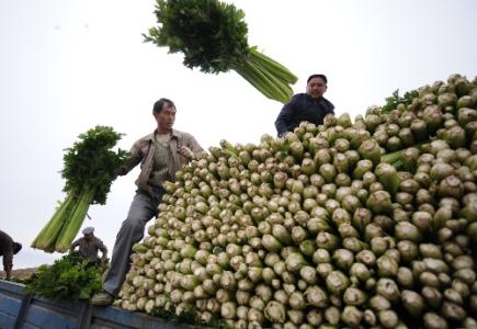 劉永富：發(fā)展產(chǎn)業(yè)脫貧仍是精準(zhǔn)扶貧、精準(zhǔn)脫貧主攻方向