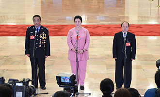 崔光日、荀笑紅、巨曉林代表接受采訪