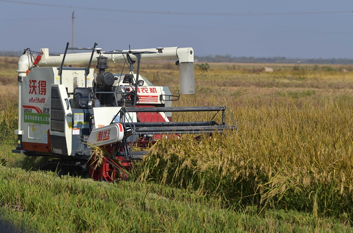 新華社評論員:穩(wěn)固耕地基本盤，打好種業(yè)翻身仗