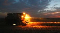 麥?zhǔn)照?顆粒歸倉(cāng)